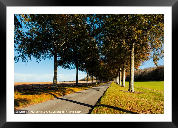 Long Shadows Framed Mounted Print by Paul Brewer