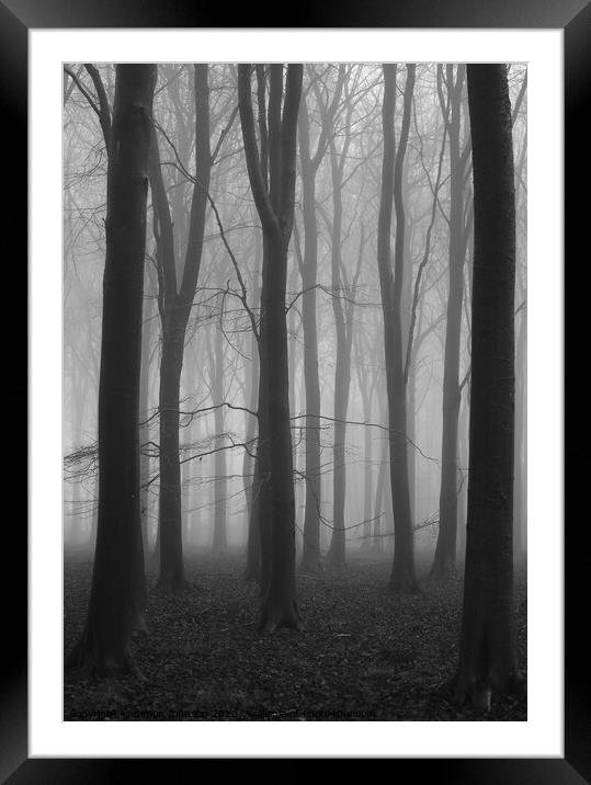 Misty woodland Framed Mounted Print by Simon Johnson