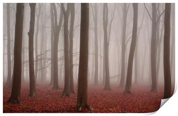 Misty woodland Print by Simon Johnson