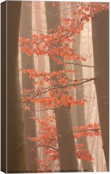 Autumn leaves and trees Canvas Print by Simon Johnson