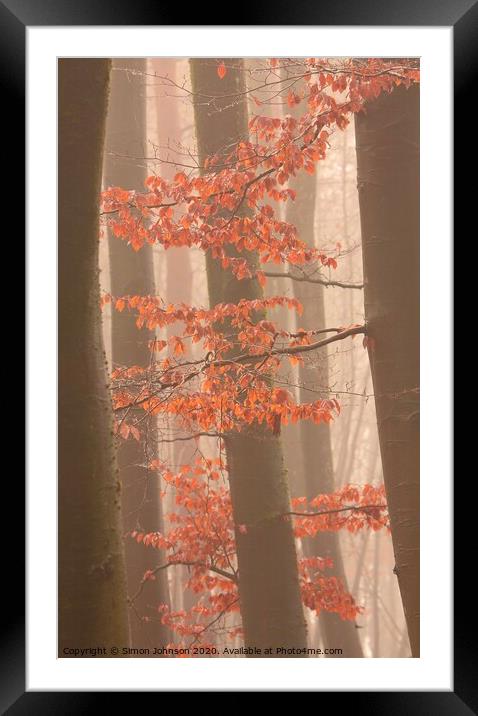 Autumn leaves and trees Framed Mounted Print by Simon Johnson