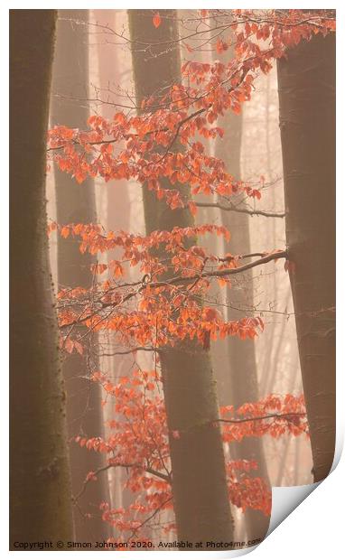 Autumn leaves and trees Print by Simon Johnson