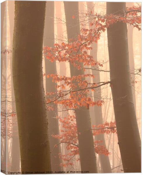 Autumn Leaves Canvas Print by Simon Johnson