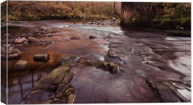 Brecon Flow Canvas Print by Richard Downs
