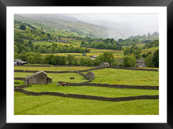Mist in the Dale Framed Mounted Print by Trevor Kersley RIP
