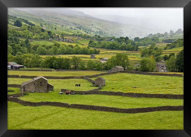 Mist in the Dale Framed Print by Trevor Kersley RIP