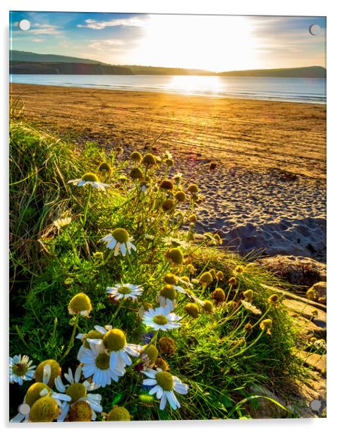 Newport Beach Sunset, Pembrokeshire, Wales, UK Acrylic by Mark Llewellyn