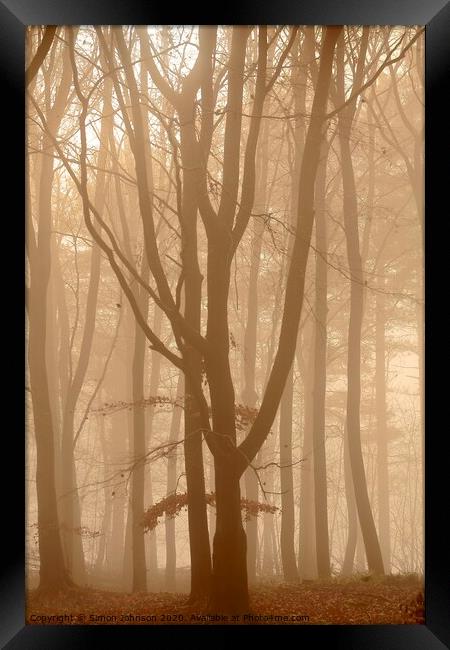 Misty Woodland  Framed Print by Simon Johnson