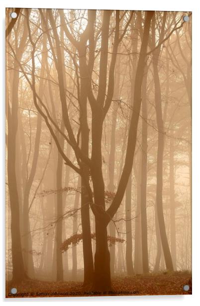 Misty Woodland  Acrylic by Simon Johnson