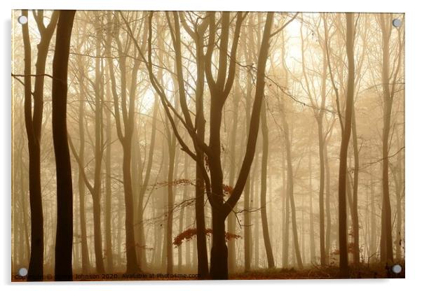 Misty woodland Acrylic by Simon Johnson