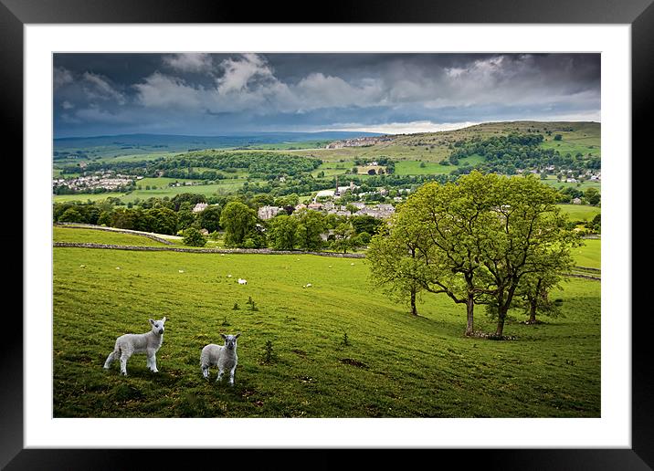 Langcliffe - Yorkshire Dales National Park Framed Mounted Print by David Lewins (LRPS)