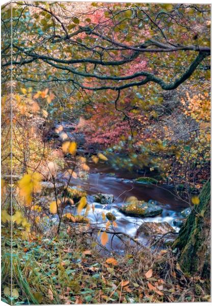 Otterburn  Canvas Print by Aimie Burley