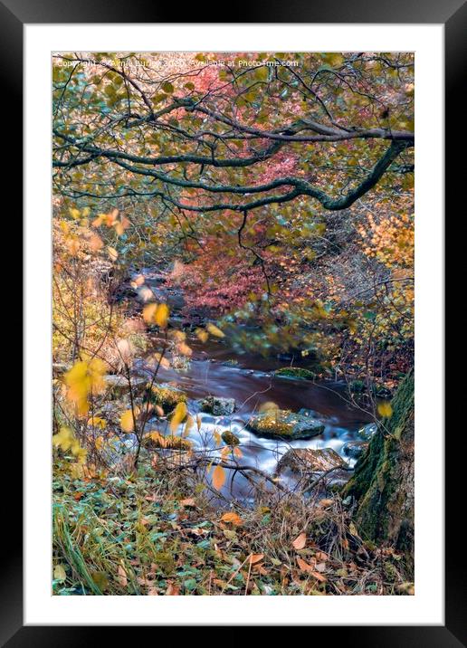 Otterburn  Framed Mounted Print by Aimie Burley
