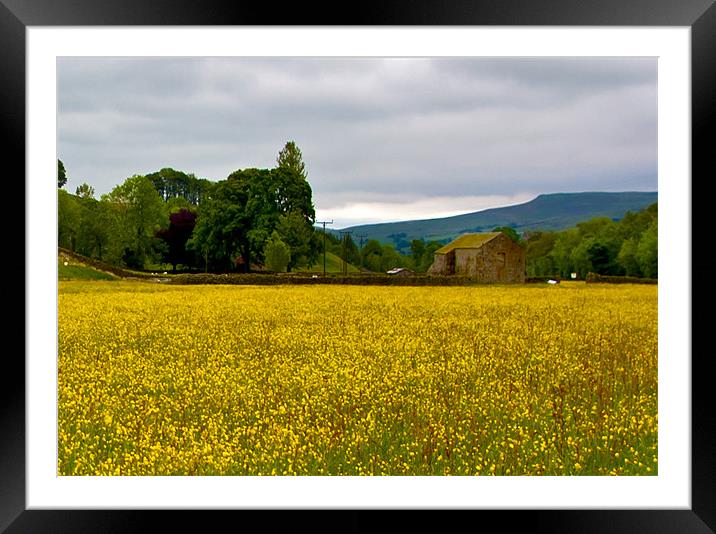Hay Meadow in the Dales Framed Mounted Print by Trevor Kersley RIP