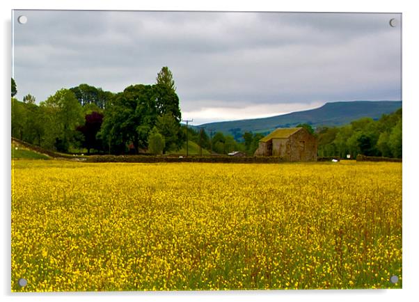Hay Meadow in the Dales Acrylic by Trevor Kersley RIP