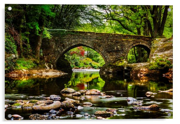 Denham Bridge, Dartmoor, Devon Acrylic by Maggie McCall