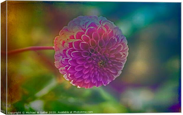 Another Blooming Dahlia Canvas Print by Michael W Salter