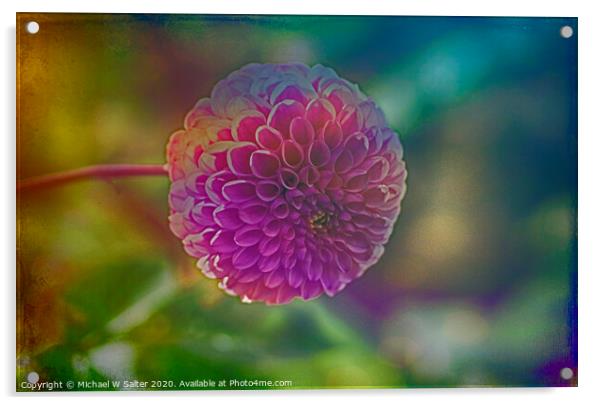 Another Blooming Dahlia Acrylic by Michael W Salter