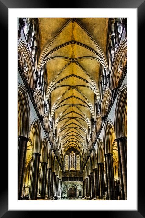 Salisbury Cathedral Nave Ceiling. Framed Mounted Print by Paddy Art