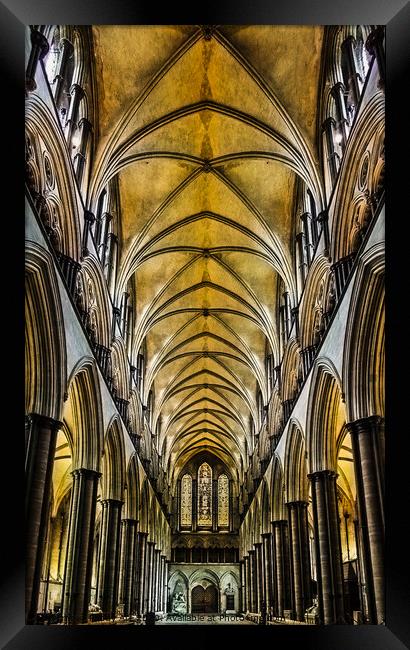 Salisbury Cathedral Nave Ceiling. Framed Print by Paddy Art