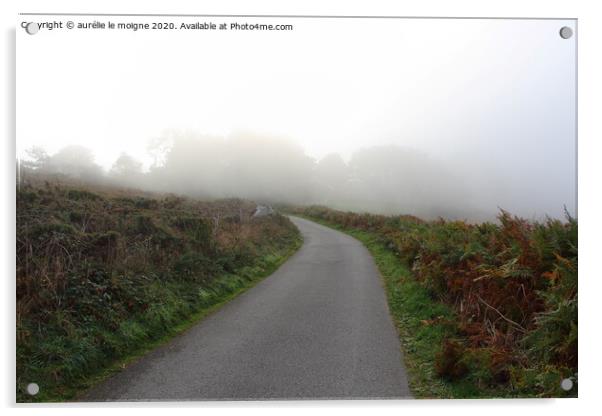 Road in the fog Acrylic by aurélie le moigne
