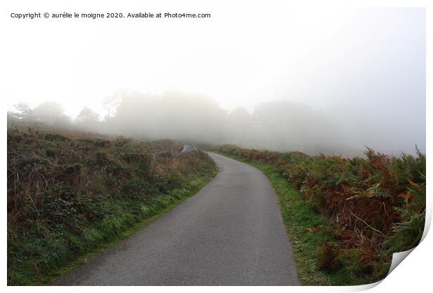 Road in the fog Print by aurélie le moigne