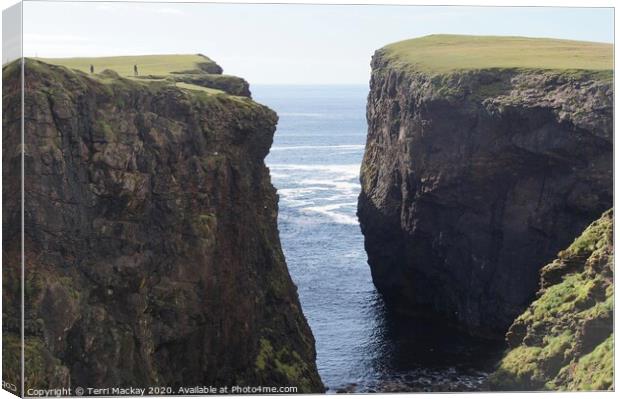 Cliffs at Eshaness, Shetland Canvas Print by Terri Mackay