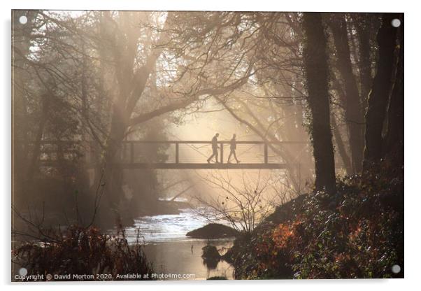 Footbridge Across River Teign Acrylic by David Morton