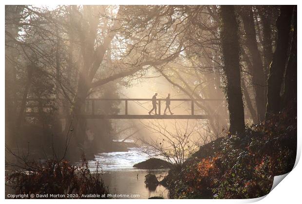 Footbridge Across River Teign Print by David Morton
