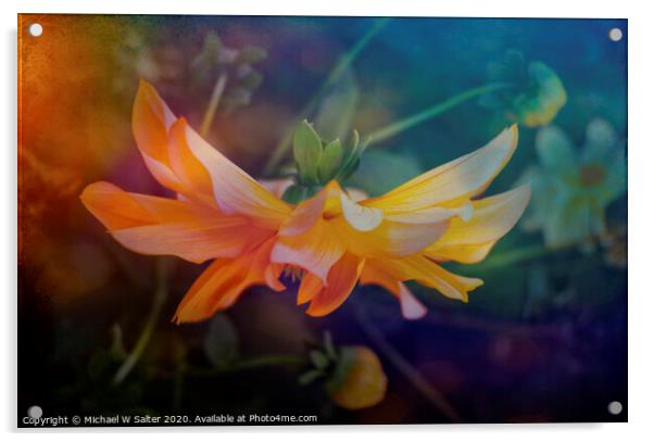 Flower in Flower Acrylic by Michael W Salter