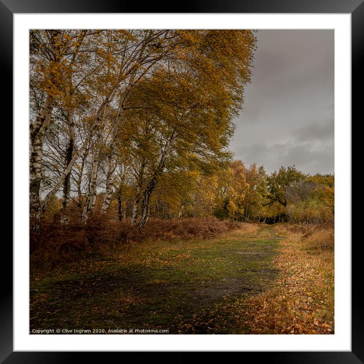 The colours of autumn Framed Mounted Print by Clive Ingram