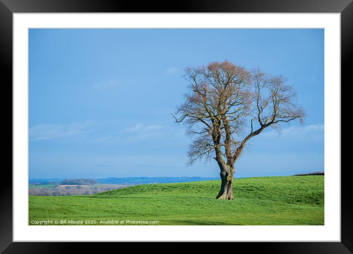 Brampton Ash. Framed Mounted Print by Bill Allsopp