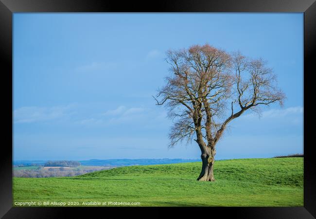 Brampton Ash. Framed Print by Bill Allsopp