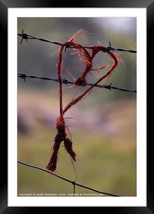 Love heart on barbed wire fence Framed Mounted Print by Scott Middleton