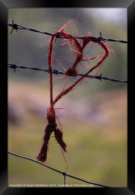 Love heart on barbed wire fence Framed Print by Scott Middleton