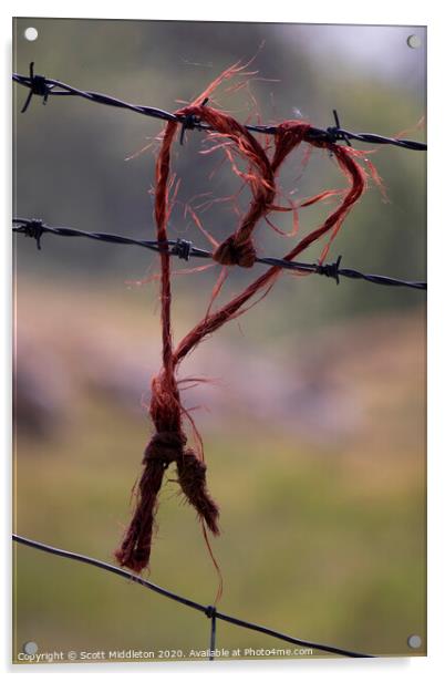Love heart on barbed wire fence Acrylic by Scott Middleton