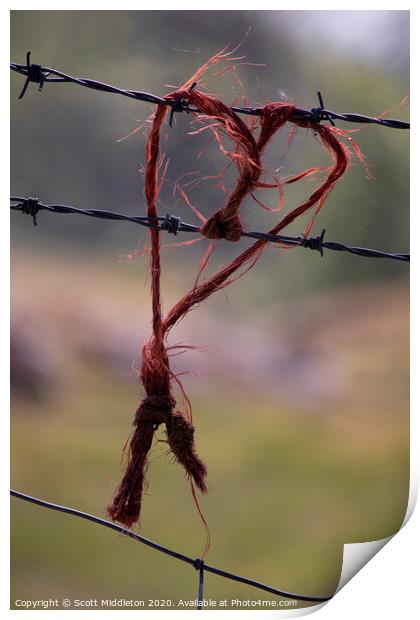 Love heart on barbed wire fence Print by Scott Middleton