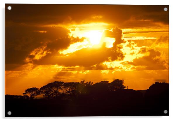 Sunset Acrylic by Eddie Howland