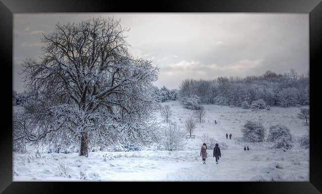 A winter's walk on the common  Framed Print by Jon Fixter