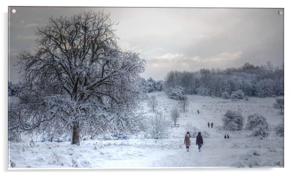 A winter's walk on the common  Acrylic by Jon Fixter