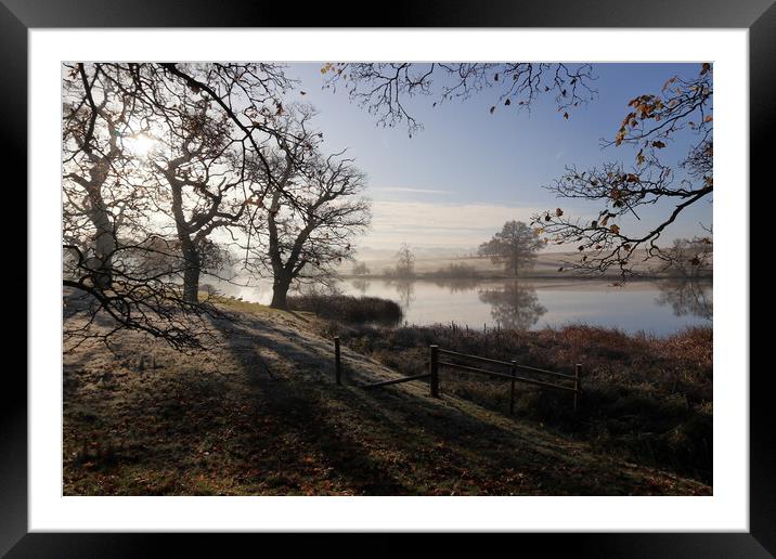 Trees in the mist on a frosty morning Framed Mounted Print by Angela Redrupp