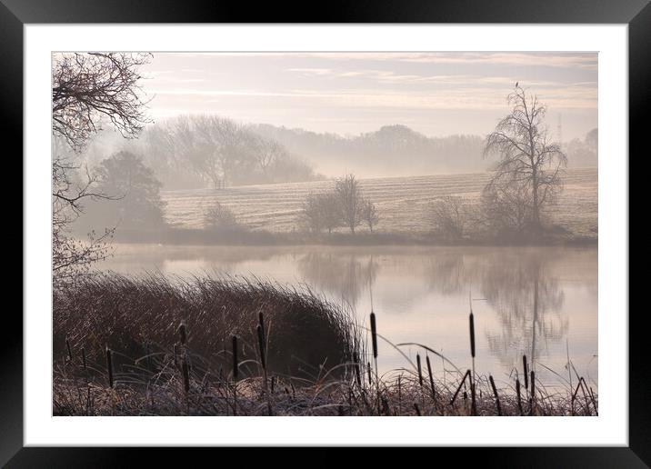 Misty morning by the lake Framed Mounted Print by Angela Redrupp