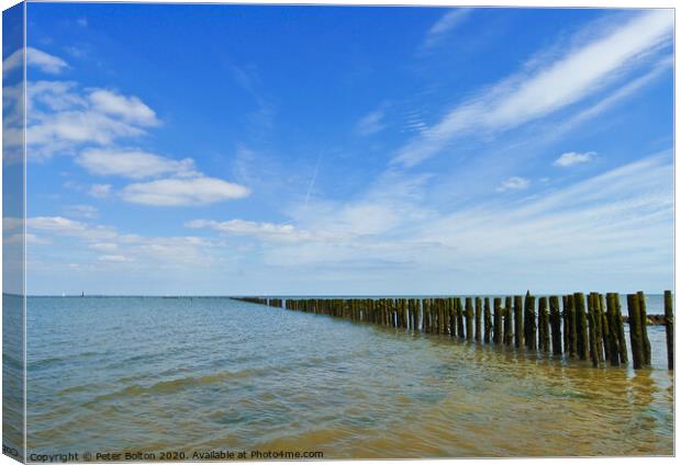 Remains of an ancient fish trap on the River Blackwater at Bradwell, Essex, UK Canvas Print by Peter Bolton