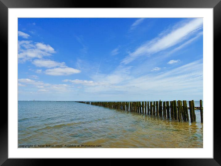 Remains of an ancient fish trap on the River Blackwater at Bradwell, Essex, UK Framed Mounted Print by Peter Bolton