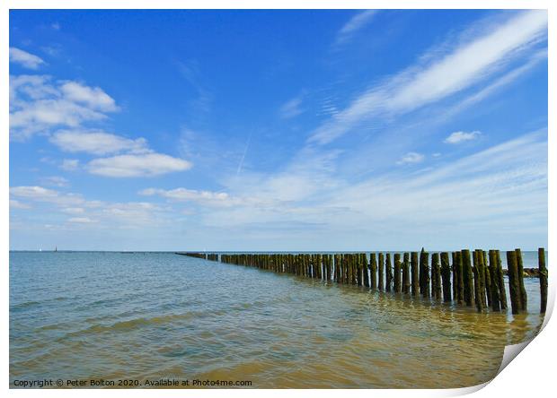 Remains of an ancient fish trap on the River Blackwater at Bradwell, Essex, UK Print by Peter Bolton