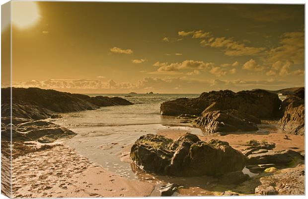 Cornish Coast in the Evening Canvas Print by Eddie Howland