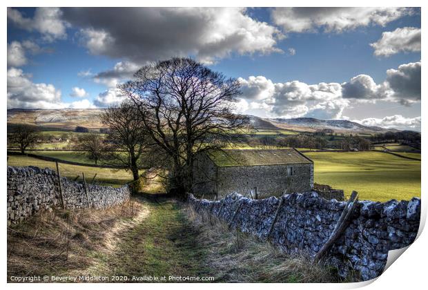 Swinden Lane near Threshfield. Print by Beverley Middleton