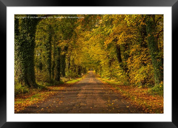 Autumn Driveway Framed Mounted Print by Michael Tonge