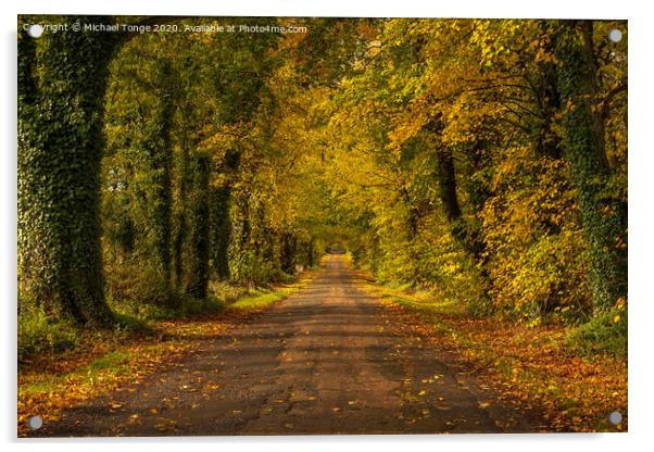 Autumn Driveway Acrylic by Michael Tonge