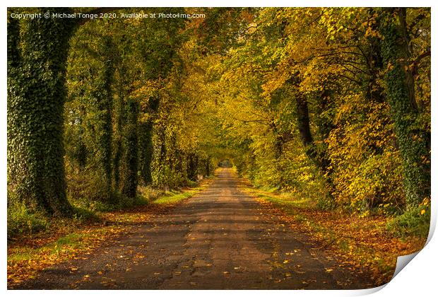 Autumn Driveway Print by Michael Tonge
